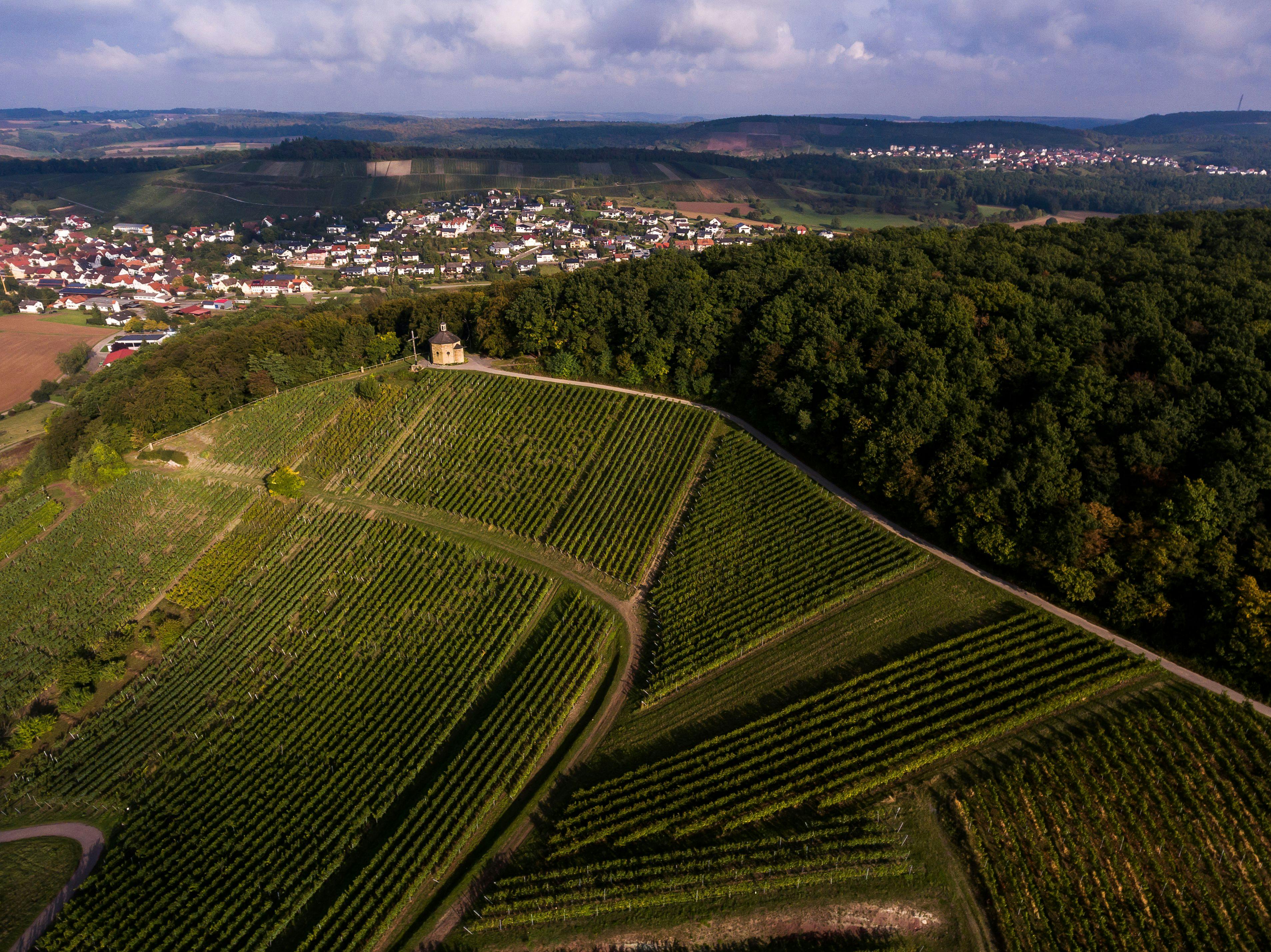 Weingut Heitlinger