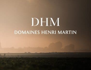 Domaines Martin