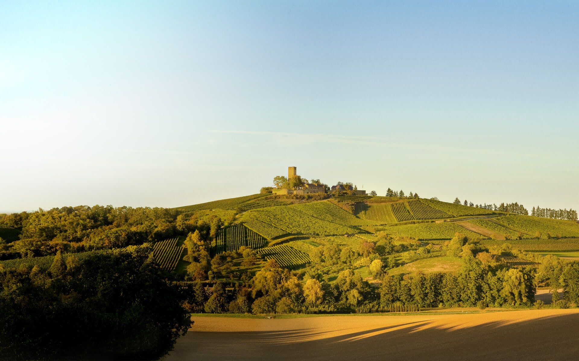 Weingut Burg Ravensburg